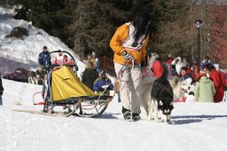 San Bernardino 2008